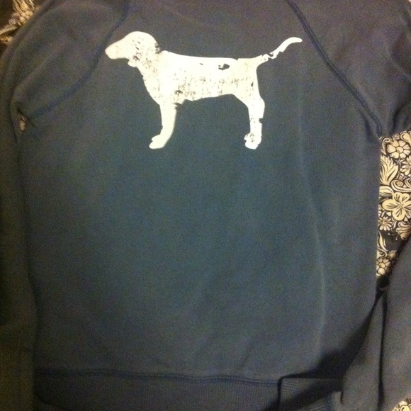 🚫Traded🚫Pink vs sweatshirt - Picture 3 of 4