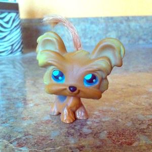 *Reserved* LPS Yorkie