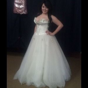 Terani prom dress