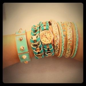 Bracelet watch