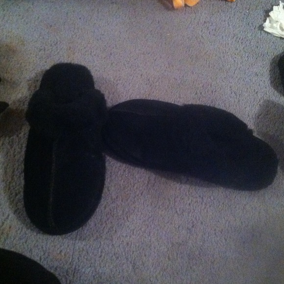 Black bear paws