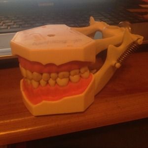 Dental model