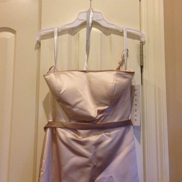 Gorgeous Champagne and Taupe dress.