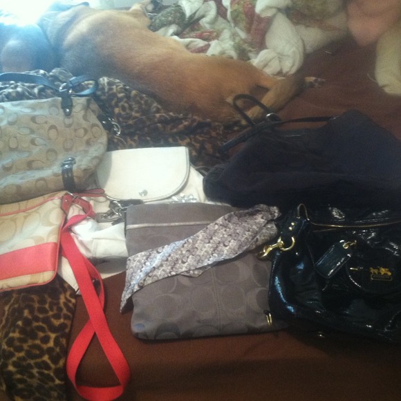 My coach family FOR SALE