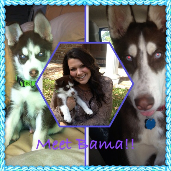 My pride and joy BAMA!!! Love my husk!