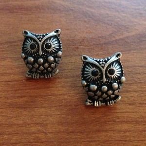 NWOT Owl Earrings Studs