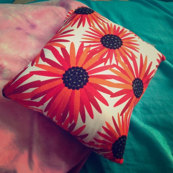 Crate and barrel pillow! - Picture 1 of 2