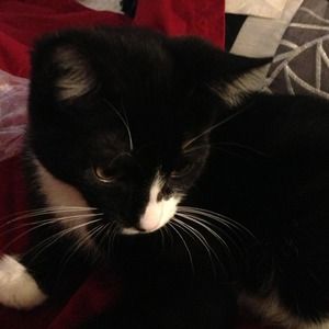 Not for sale just sharing