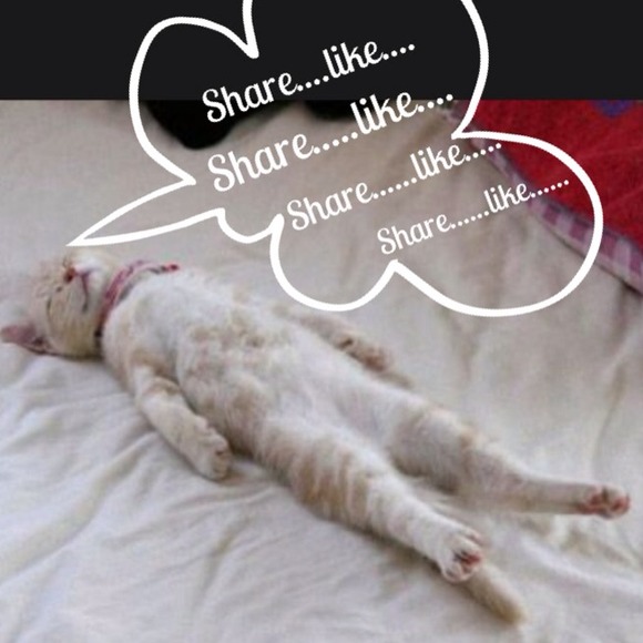 I absolutely, positively, MUST go to bed!!!! - Picture 2 of 3