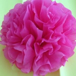 Beautiful tissue paper flowers