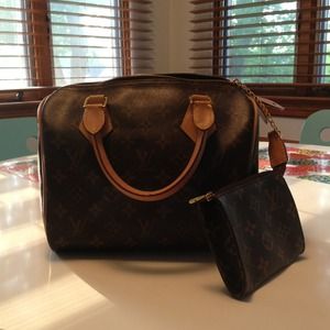 Inspired Louis Vuitton Handbag!