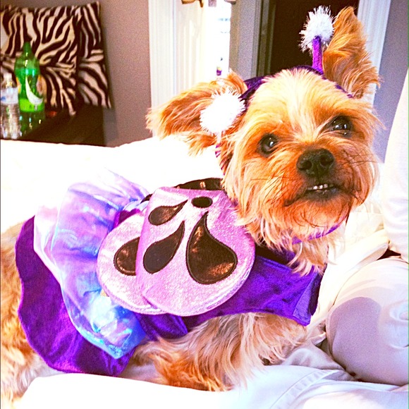 Girls💥Just💫Want✨To🌟Have💥FUN💥and 👛SHOP👛