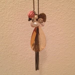 Forever 21 Long Necklace