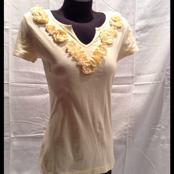 Short v-neckline-embroidery-roses-top front
