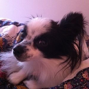 My girl💕💕 NOT FOR SALE