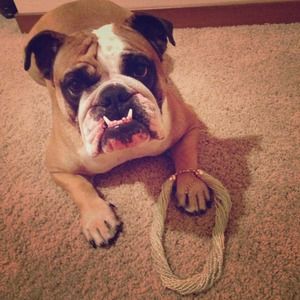 Mint GR _ Beaded Necklace