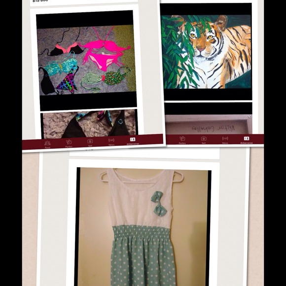 Tiger painting,bikini lot, dress bundle!