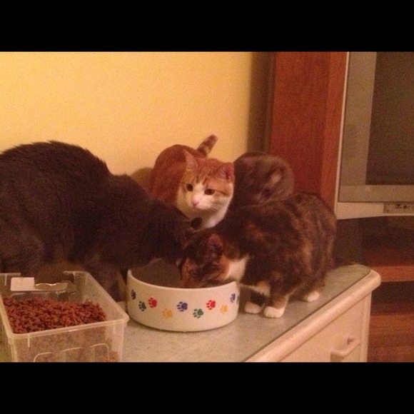 My purpose on Poshmark and on this earth. π - Picture 2 of 5