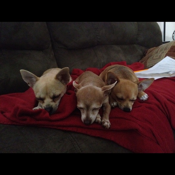 My purpose on Poshmark and on this earth. π - Picture 3 of 5