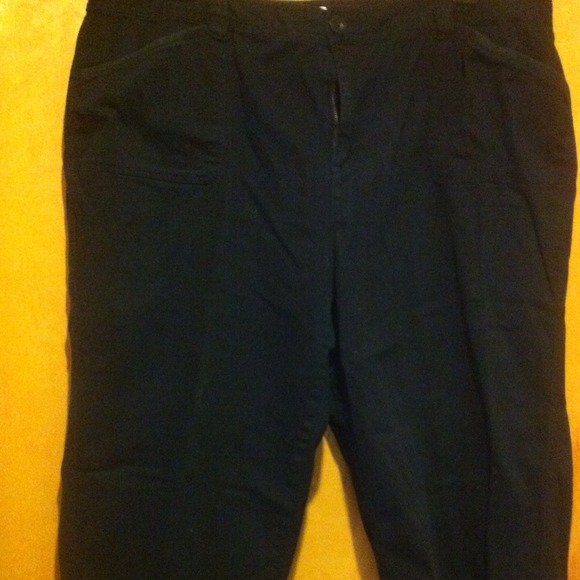 ⭐SOLD⭐Plus size CJ Banks black capris