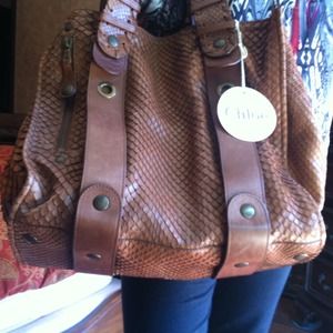 Gorgeous anaconda skin Chloe silverado bag