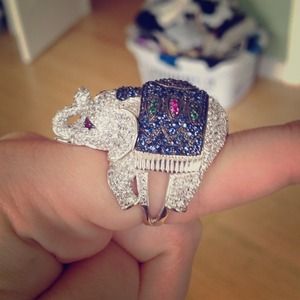 Elephant ring.
