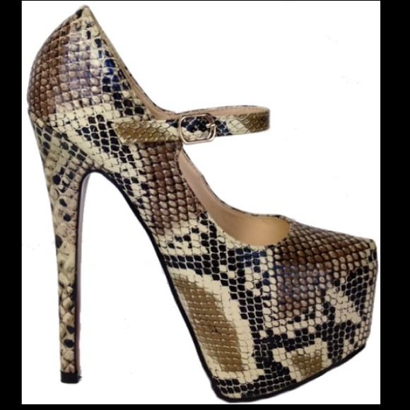 Virginia 133 collection