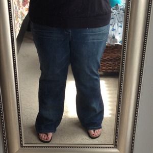 Lane Bryant jeans (distinctly boot cut)