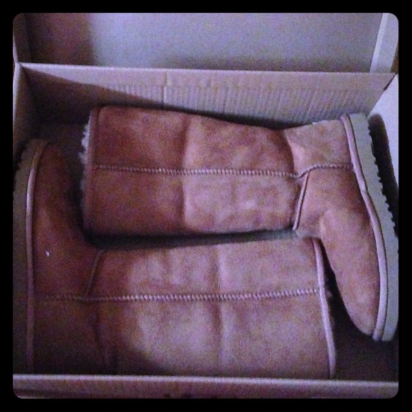 classic tall chestnut uggs size8