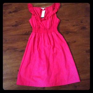 NEW Banana Republic pink silk blend dress