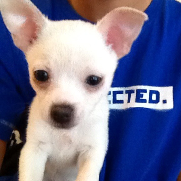 💕💕😁😁Help me share my closet!😁😁 💕💕 - Picture 2 of 2