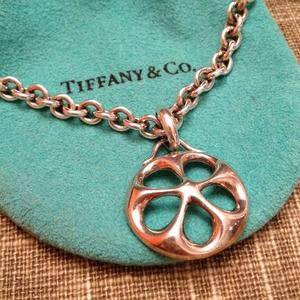 Tiffany & Co. Silver Sand Dollar Necklace