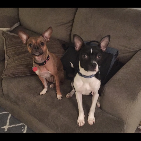 Welcome to my closet! - Picture 4 of 4