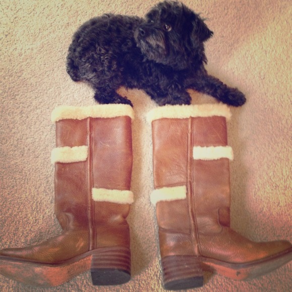 💥💥Host Pick!!!  Frye boots 🌟🌟