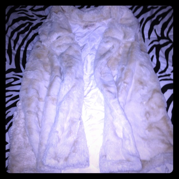 Fur Vest
