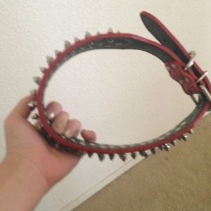 Red studded dog collar