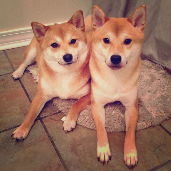 My beautiful babies!