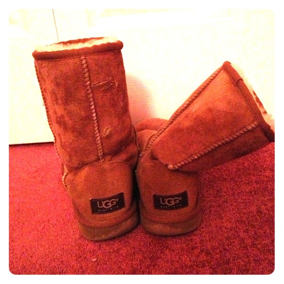 Short chestnut uggs