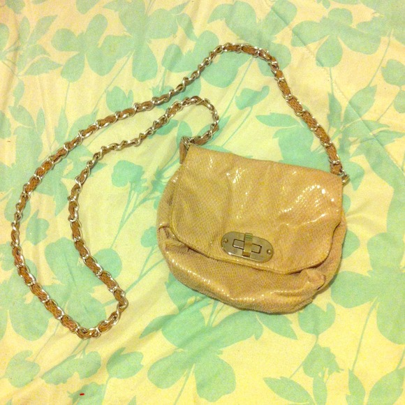 Cute little purse in nude.