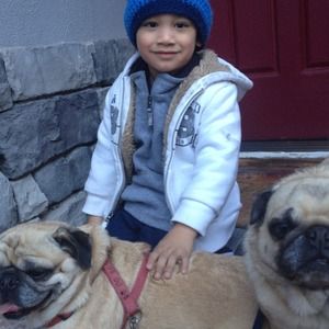 Just Sharing! 4 Doggy and pug lovers!!!