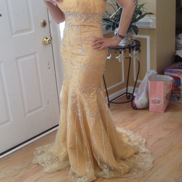 Beautiful prom dress custom made cost me over $500