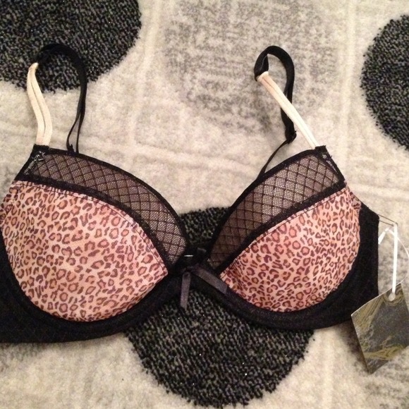 sexy leopard print & black bra