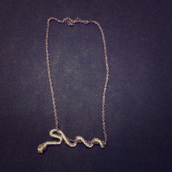 Snake necklace!
