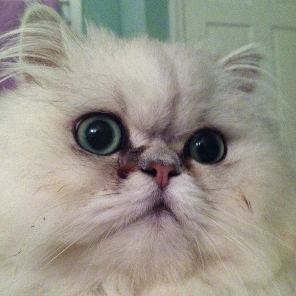 Meet the seller!๐ธ - Picture 3 of 4