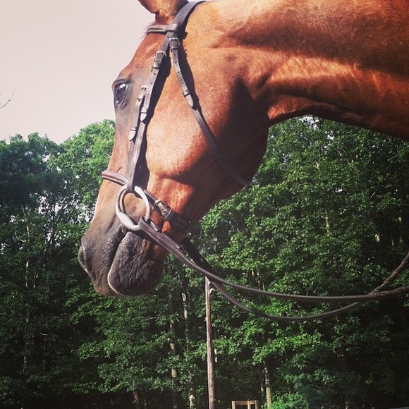 Meet the seller!๐ธ - Picture 4 of 4