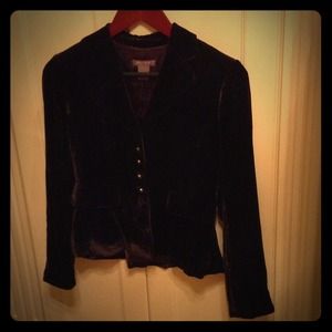 Ann Taylor Velour Blazer