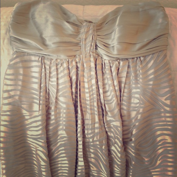 🎀Express Zebra Dress