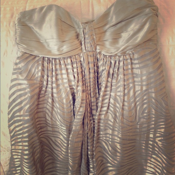 💋Express Zebra Dress - Picture 1 of 3