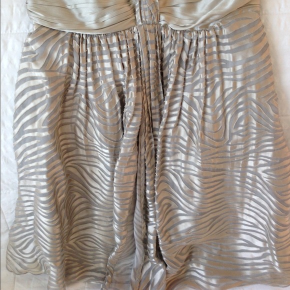 💋Express Zebra Dress - Picture 2 of 3