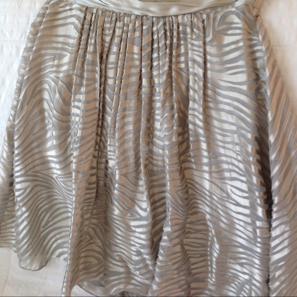 💋Express Zebra Dress - Picture 3 of 3